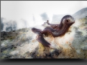 NextGen ScrollGallery thumbnail