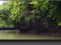 NextGen ScrollGallery thumbnail