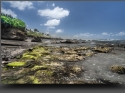 NextGen ScrollGallery thumbnail
