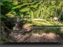 NextGen ScrollGallery thumbnail