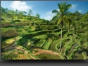 NextGen ScrollGallery thumbnail