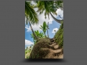 NextGen ScrollGallery thumbnail