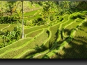 NextGen ScrollGallery thumbnail