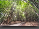 NextGen ScrollGallery thumbnail