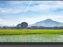 NextGen ScrollGallery thumbnail