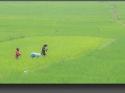 NextGen ScrollGallery thumbnail