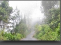 NextGen ScrollGallery thumbnail