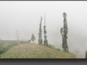 NextGen ScrollGallery thumbnail