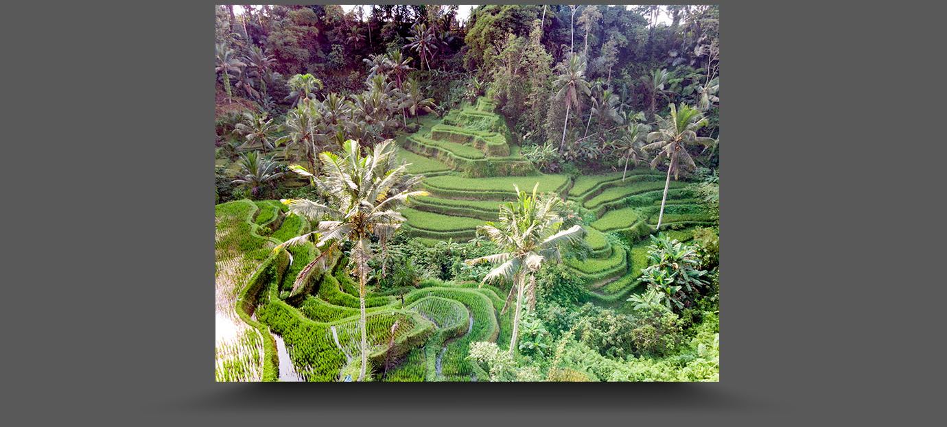 DJI_0271