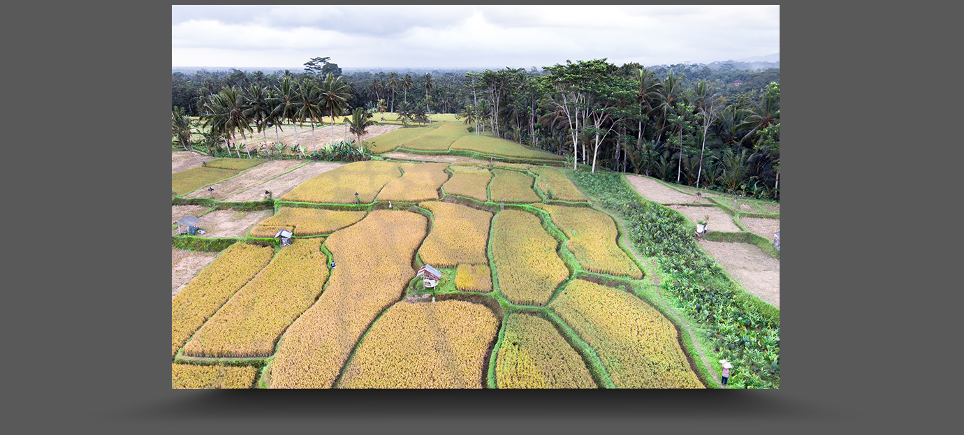 DJI_0301-standard-scale-2_00x-gigapixel
