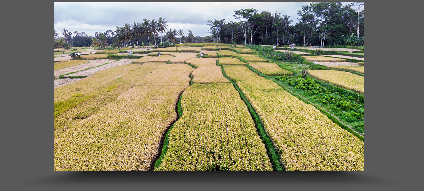 DJI_0323-gigapixel-lowres-scale-2_00x