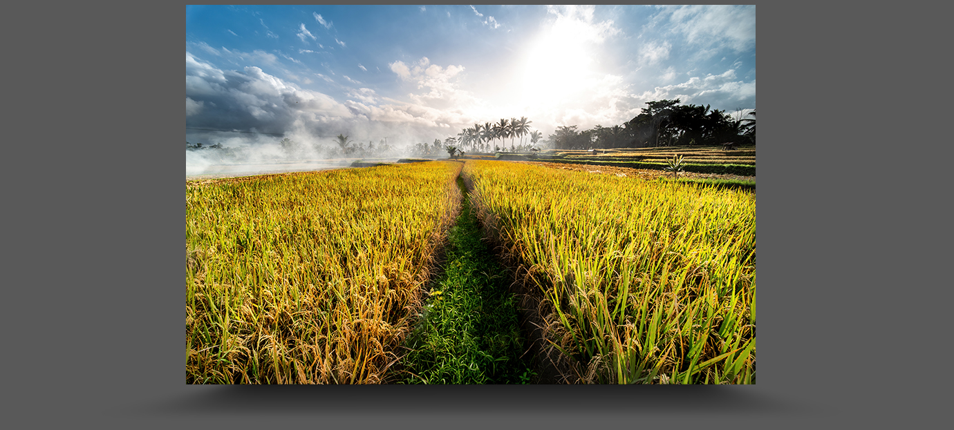 K1__5064-sharpen-focus
