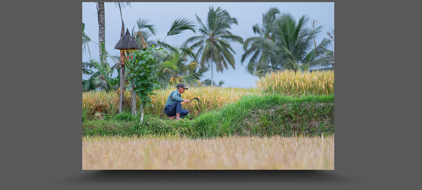 K1__5216-sharpen-focus