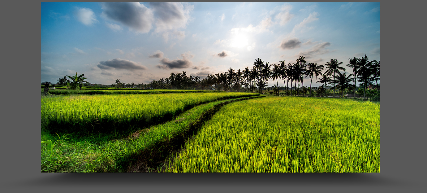 K1__8247-sharpen-focus