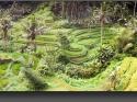 NextGen ScrollGallery thumbnail