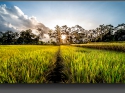 NextGen ScrollGallery thumbnail