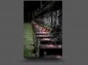NextGen ScrollGallery thumbnail