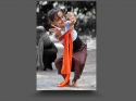 NextGen ScrollGallery thumbnail