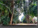 NextGen ScrollGallery thumbnail