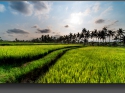 NextGen ScrollGallery thumbnail