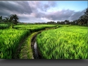 NextGen ScrollGallery thumbnail