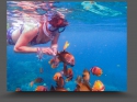 NextGen ScrollGallery thumbnail