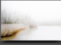 NextGen ScrollGallery thumbnail
