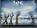 NextGen ScrollGallery thumbnail