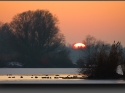 NextGen ScrollGallery thumbnail