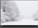 NextGen ScrollGallery thumbnail