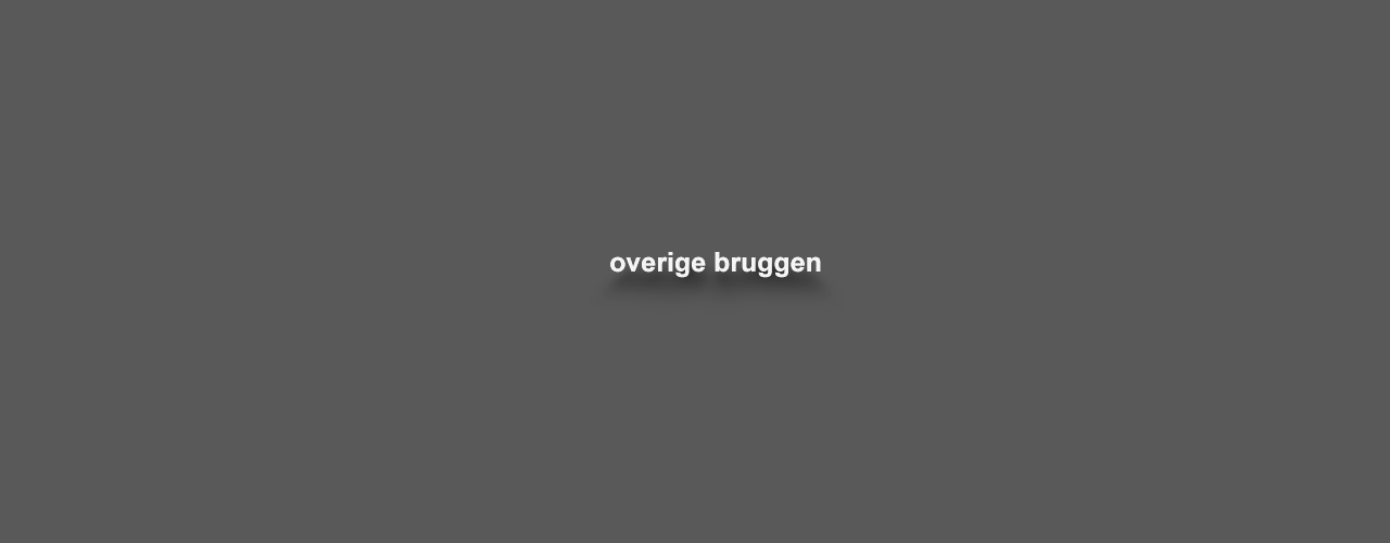 bruggen