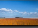 NextGen ScrollGallery thumbnail