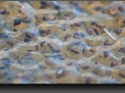 NextGen ScrollGallery thumbnail