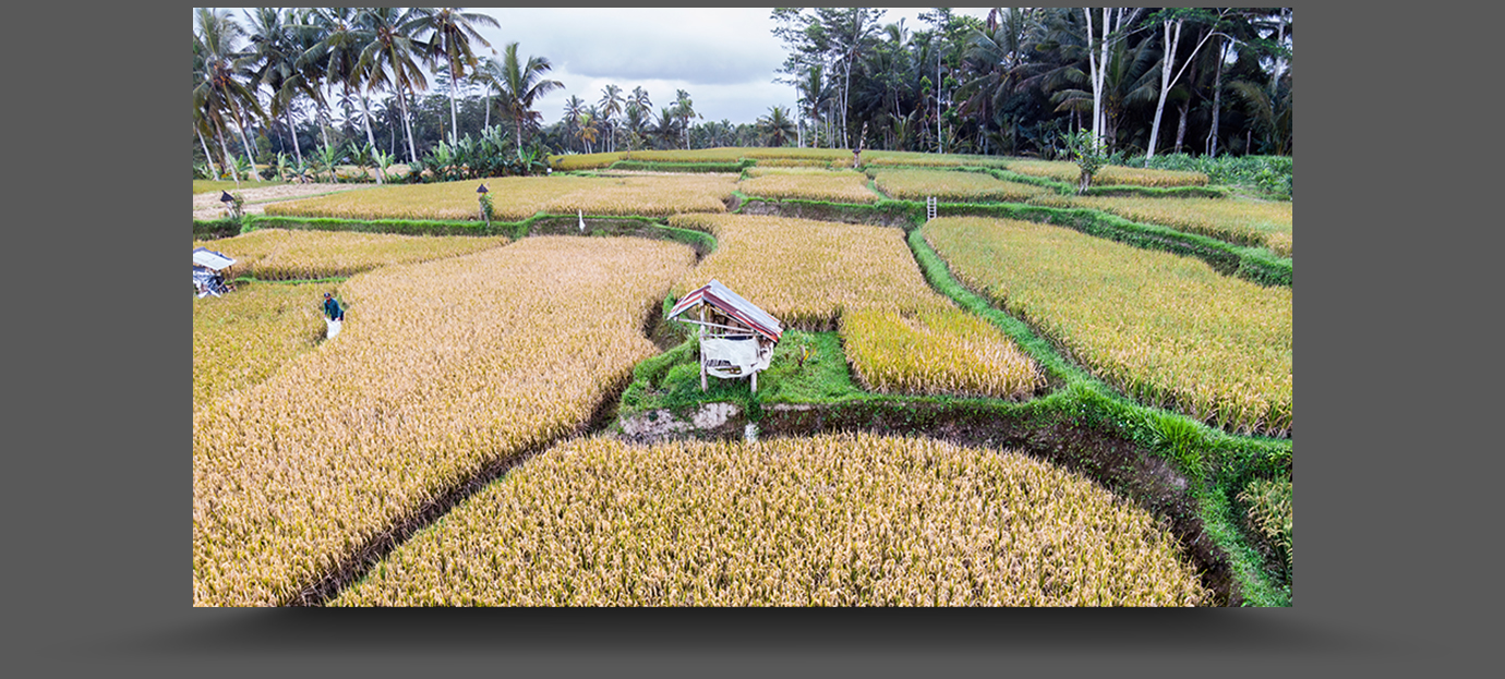 DJI_0319-gigapixel-lowres-scale-2_00x