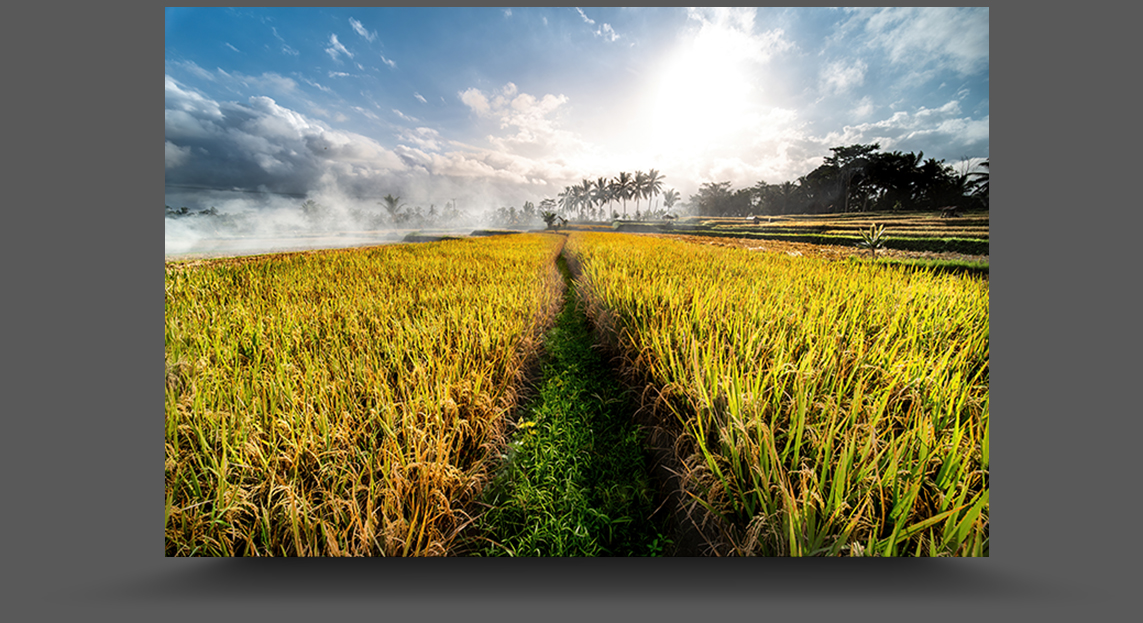 K1__5064-sharpen-focus