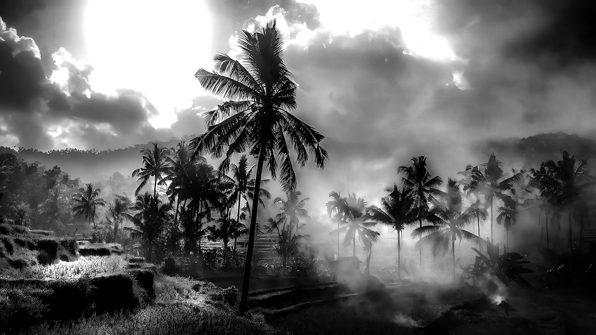 DJI_0600-BW
