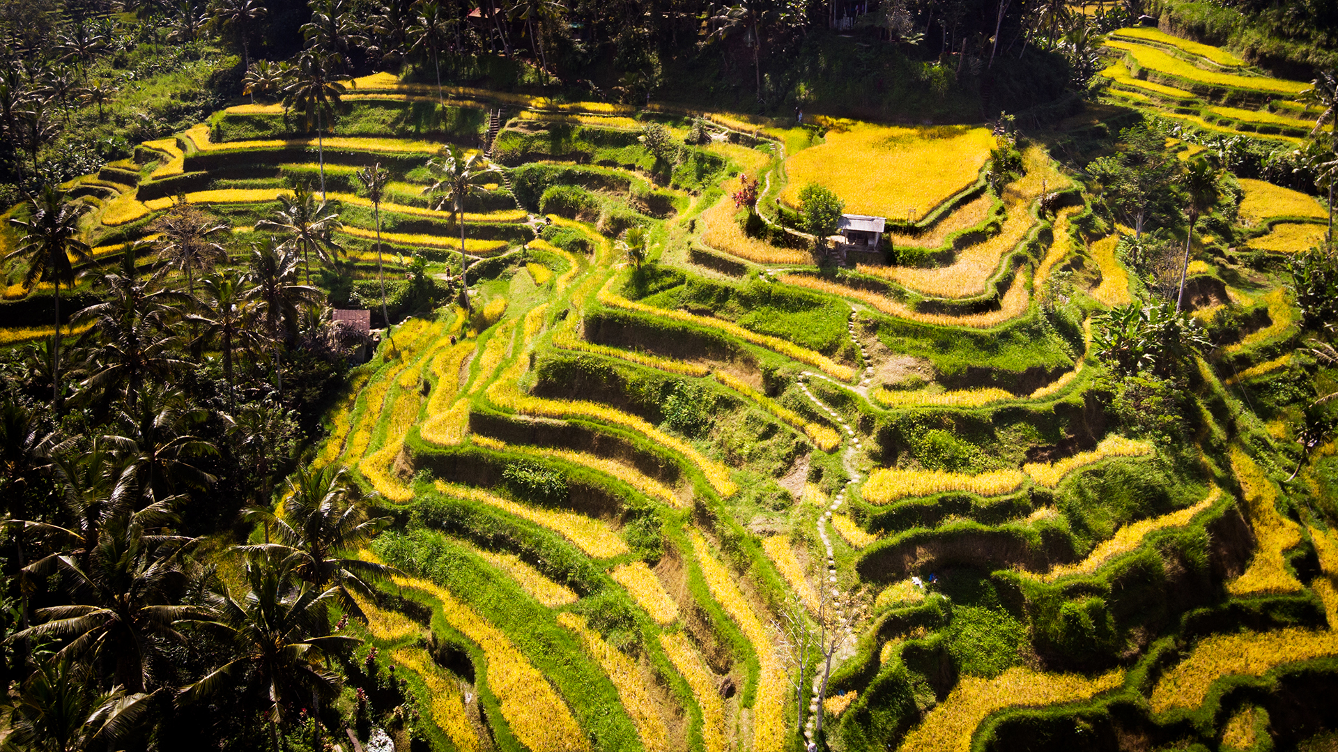 DJI_0700-2