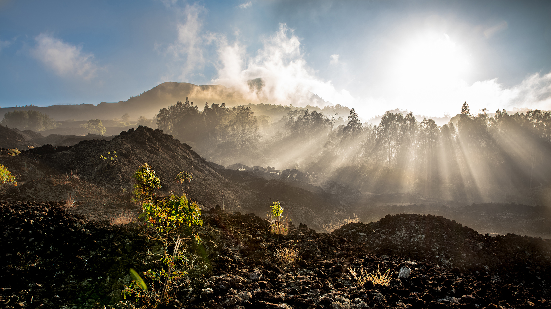 K1__5511-HDR